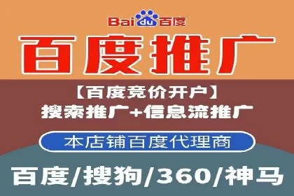 成功案例：网络推广与竞价广告的完美结合